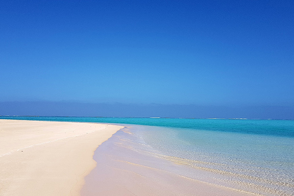 Ningaloo Reef, where you can swim in the pristine waters alongside the gentle whale shark