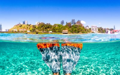 The Best Gold Coast Dive Sites and Snorkelling Havens