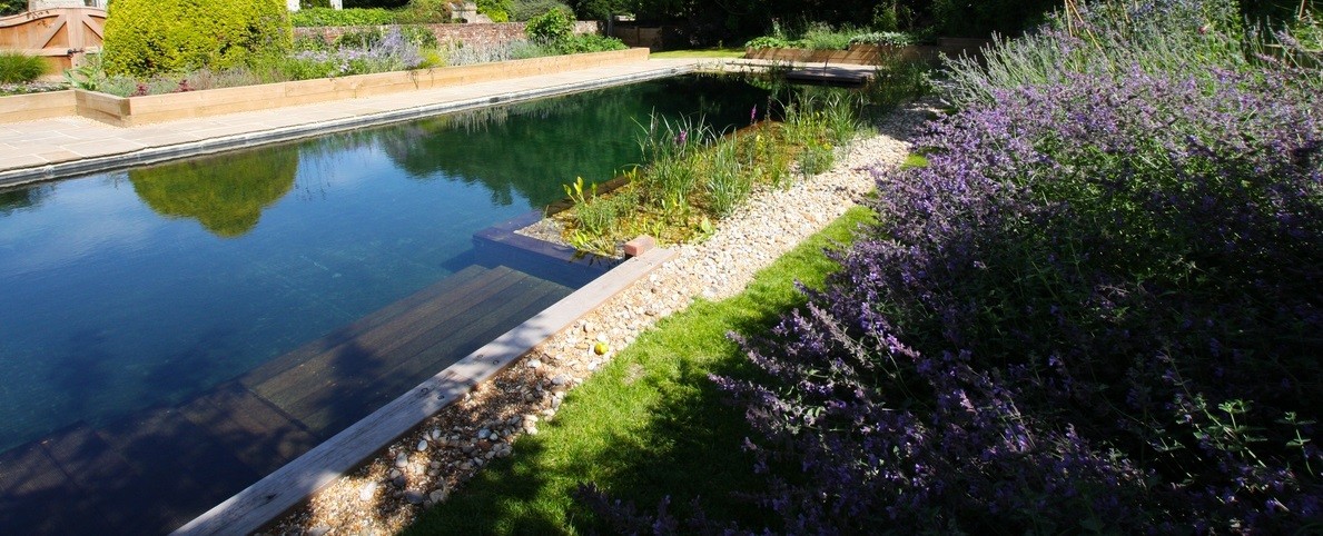 Organic pool: These swimming holes have entered the chat. Now you can build your own, and create a pond that brings wildlife right to you.