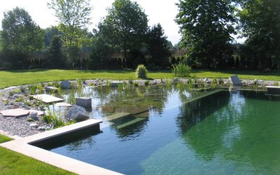 Build Your Own Organic Swimming Pool