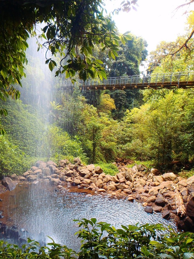 Crystal Shower Falls in Dorrigo