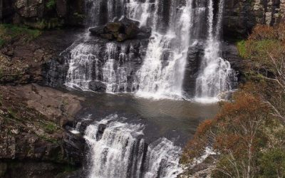 Caravan Adventures: Trout-Fishing Heaven!