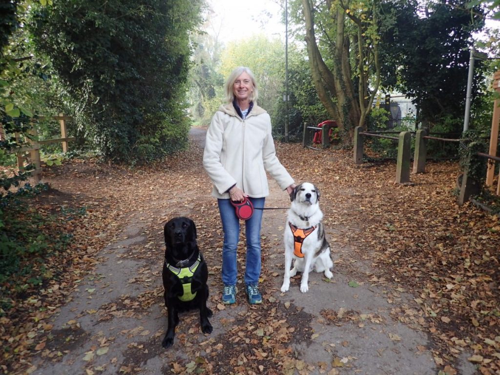 Taking time off their cruise retirement in winter to pet sit