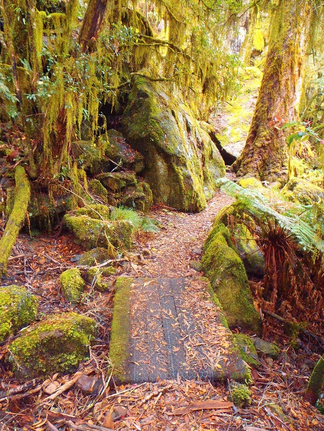 Weeping Rock Walk, New England National Park