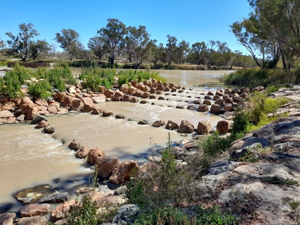 Darling River Run