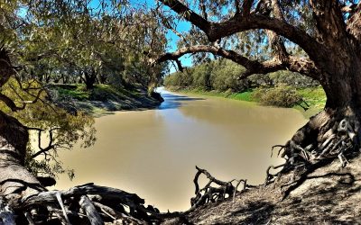 The Darling River Run