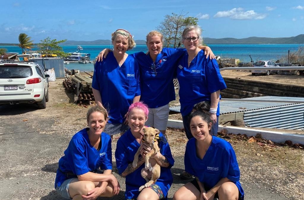 Thursday Island Rescue Mission – Saving Animal Lives