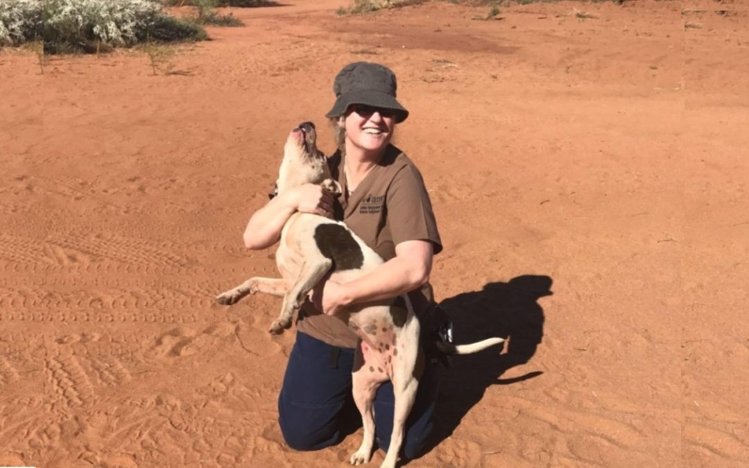 Silver Hero Volunteers to Help Animals of the Outback